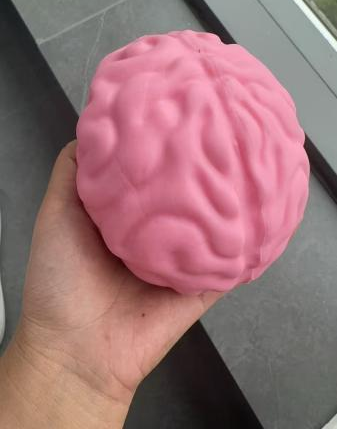 Customer photo of a brain-shaped squishy